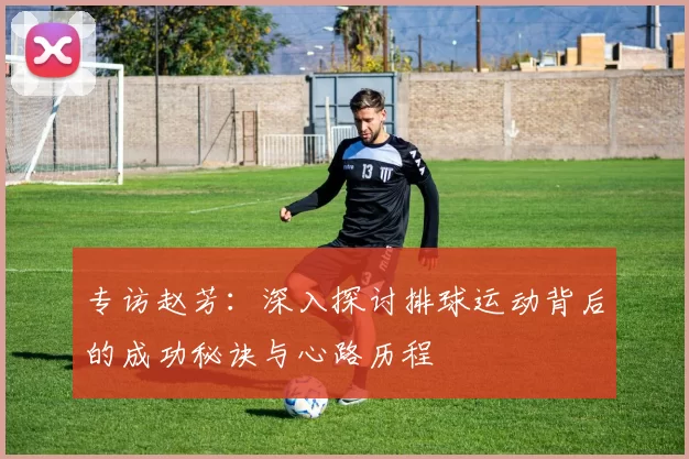 专访赵芳：深入探讨排球运动背后的成功秘诀与心路历程