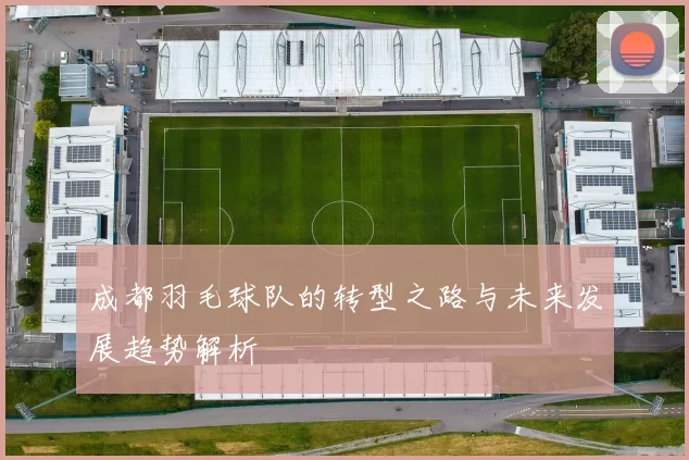成都羽毛球队的转型之路与未来发展趋势解析