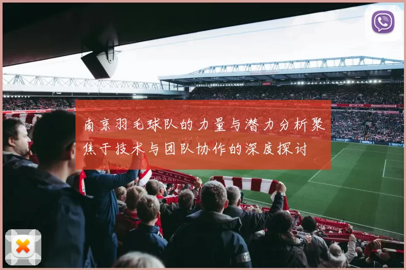 南京羽毛球队的力量与潜力分析聚焦于技术与团队协作的深度探讨