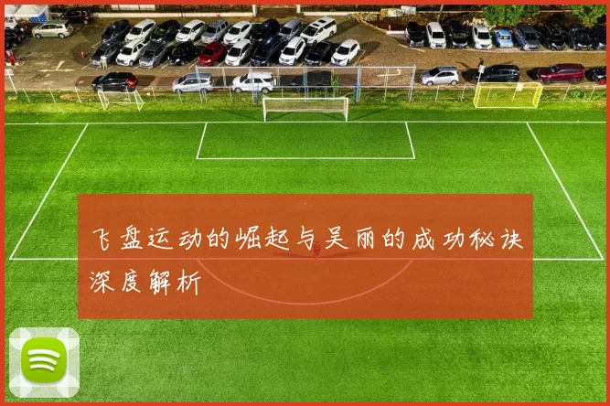 飞盘运动的崛起与吴丽的成功秘诀深度解析