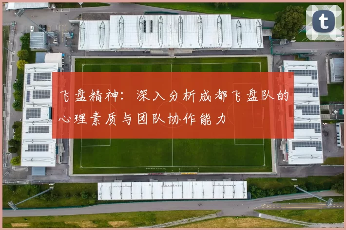 飞盘精神：深入分析成都飞盘队的心理素质与团队协作能力