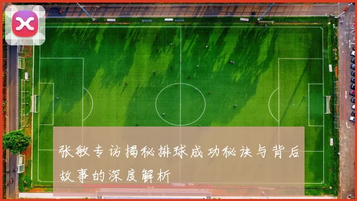 张敏专访揭秘排球成功秘诀与背后故事的深度解析