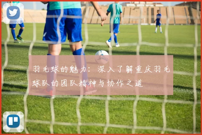 羽毛球的魅力：深入了解重庆羽毛球队的团队精神与协作之道