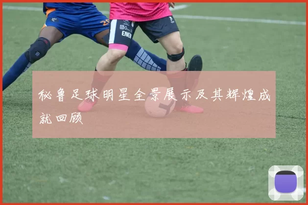 秘鲁足球明星全景展示及其辉煌成就回顾