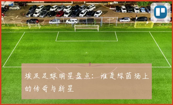 埃及足球明星盘点：谁是绿茵场上的传奇与新星