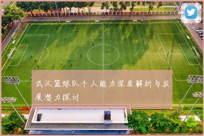 武汉篮球队个人能力深度解析与发展潜力探讨