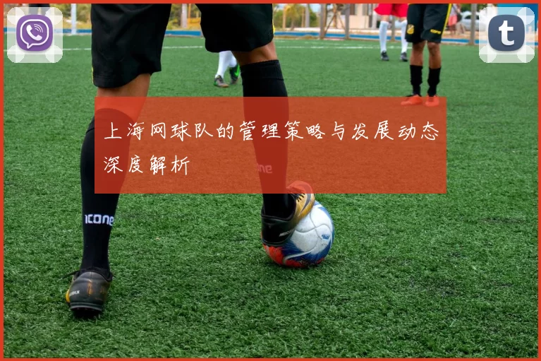 上海网球队的管理策略与发展动态深度解析