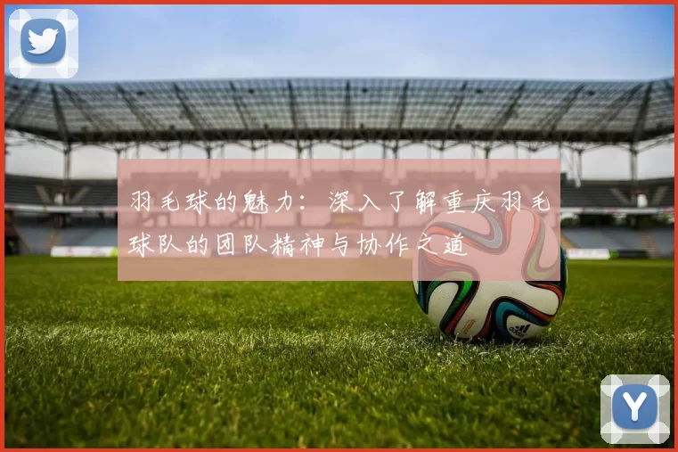羽毛球的魅力：深入了解重庆羽毛球队的团队精神与协作之道