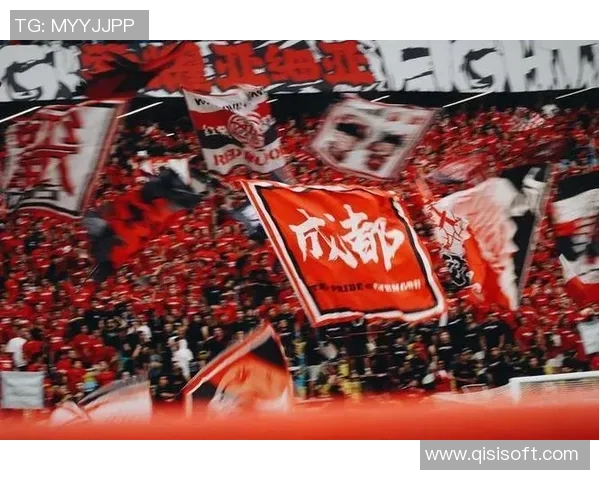 成都排球队实力引发热议球迷观点各异争论不断