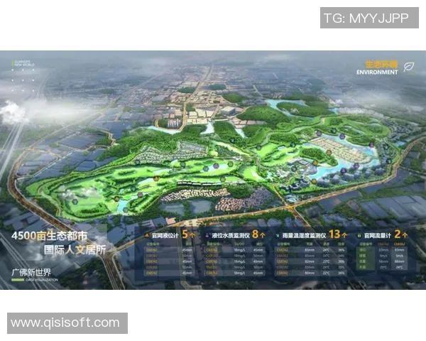 步行者引领城市绿色出行潮流探索与未来发展趋势分析