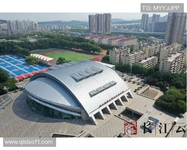 武汉乒乓球队的节奏与风采探秘：从训练到比赛的全景观察