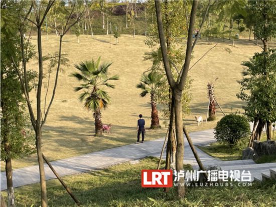 z6com尊龙凯时平台游客在草坪铺地垫、搭帐篷泸州北滨公园呼吁市民文明游玩(图4)